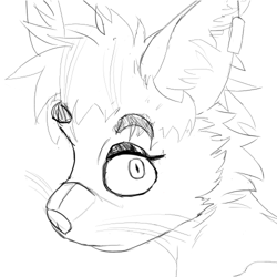 Kako face pic